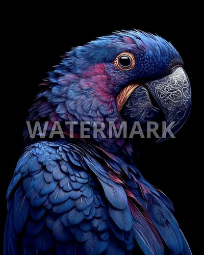 Blue hyacinth macaw - macaw, parrot