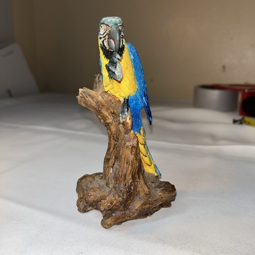 Resin blue and yellow macaw - resin,