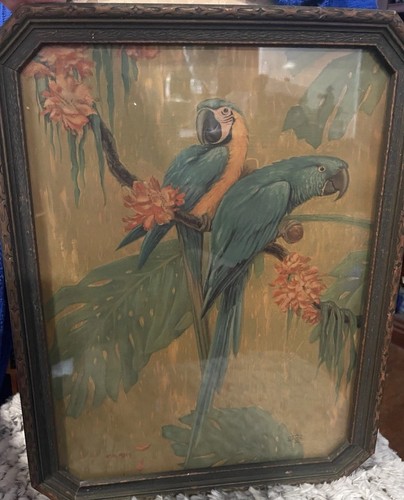 Antique parrots macaw exotic - antique,